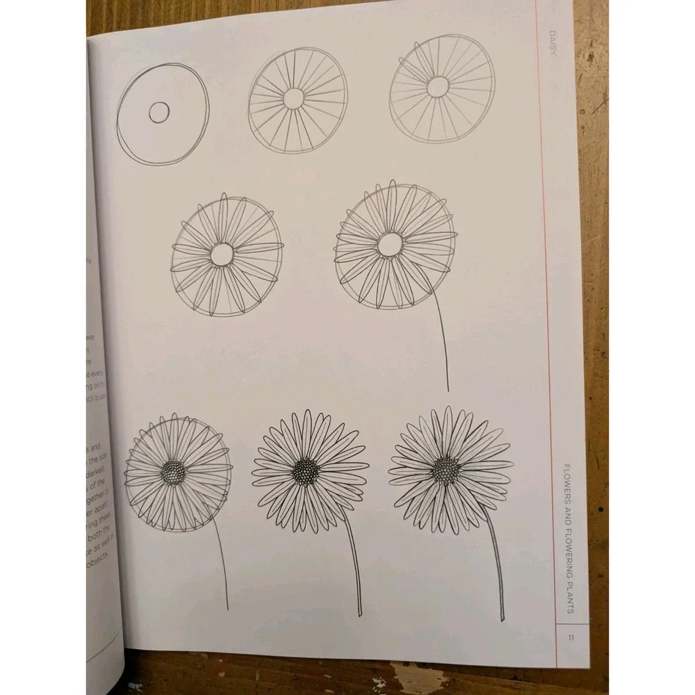 Quarry Draw Like an Artist: 100 Flowers & Plants Step-by-Step Line Drawing